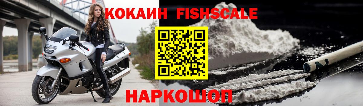 COCAIN FishScale Губкин