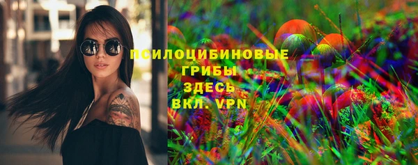 герыч Ладушкин