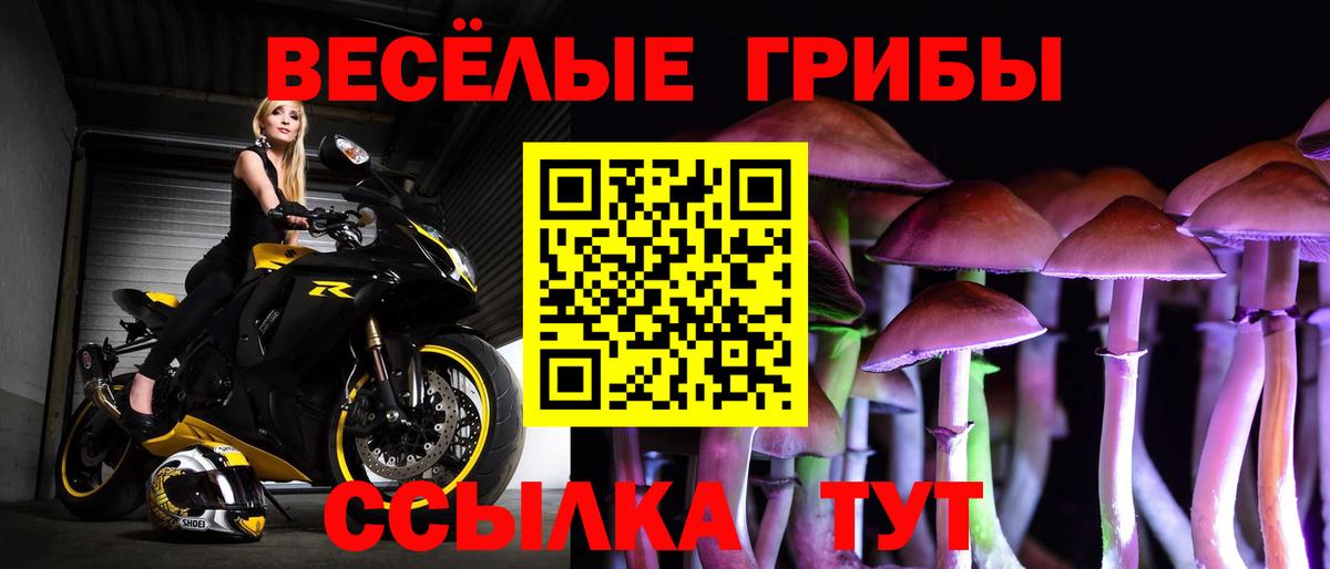 Галлюциногенные грибы GOLDEN TEACHER Губкин