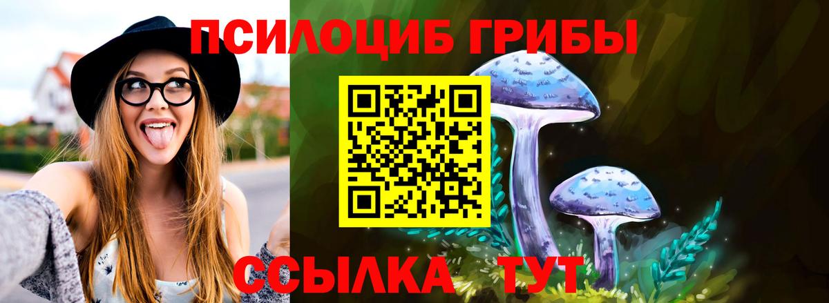 Губкин  Псилоцибиновые грибы Psilocybe  Вход с VPN  Галлюциногенные грибы мицелий 