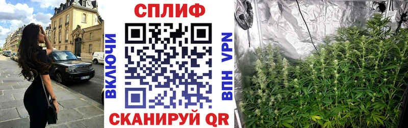 Бошки Шишки White Widow  гидра   Губкин 