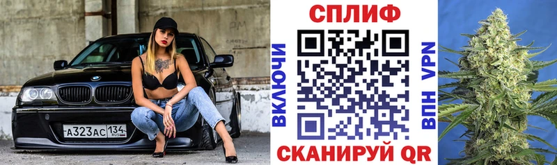 Конопля марихуана Губкин